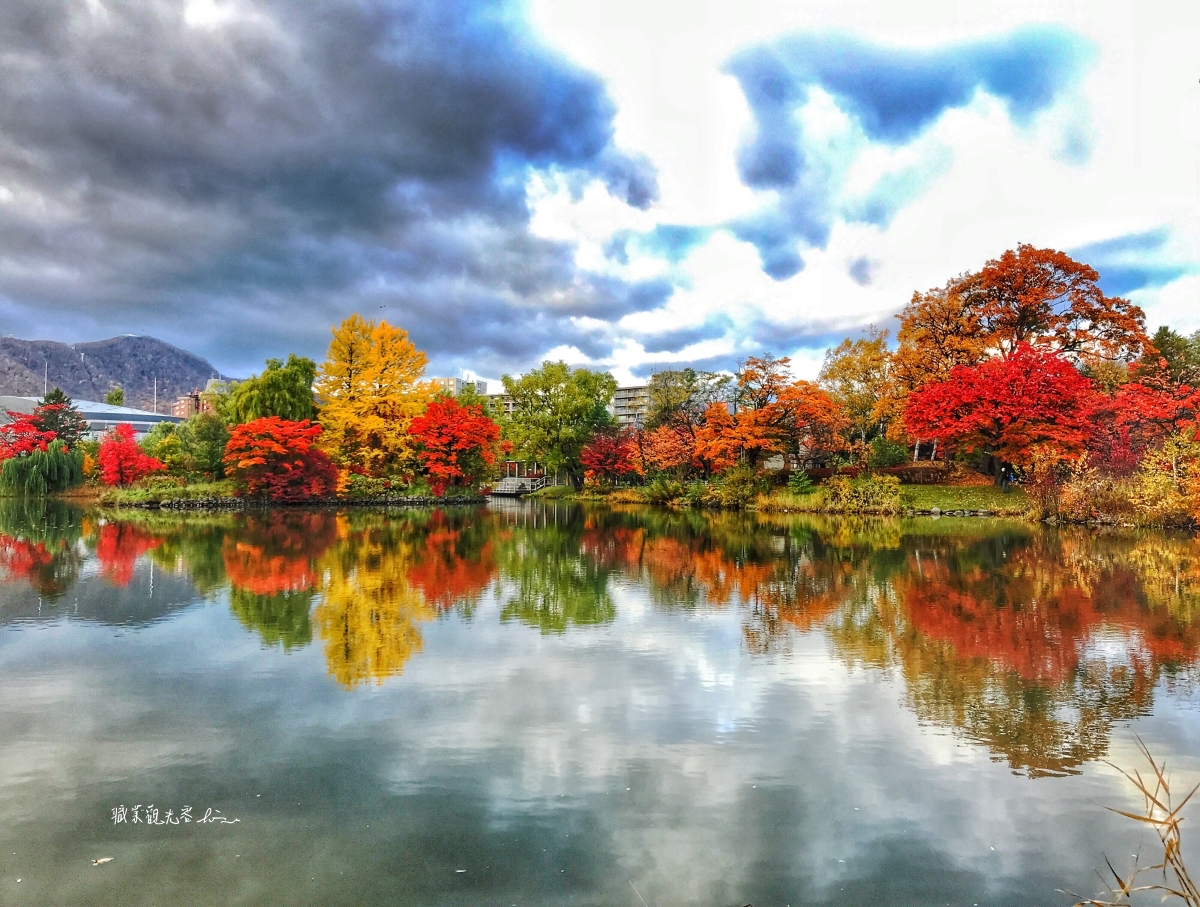 中島公園池