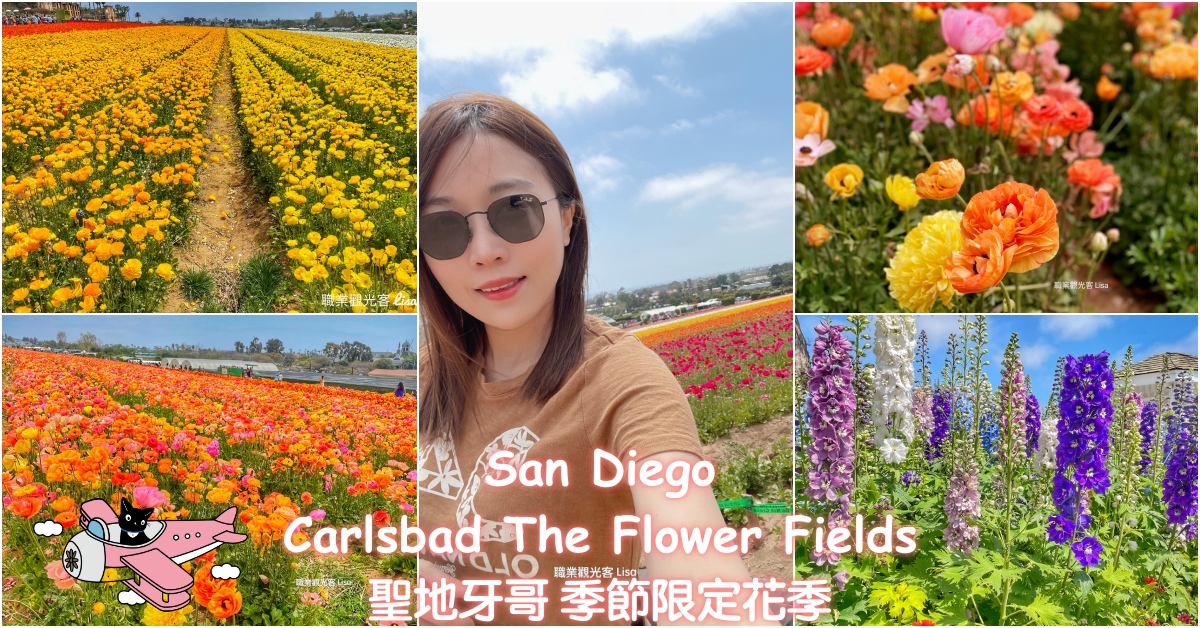 The Flower Fields Carlsbad 聖地牙哥季節限定活動 聖地牙哥賞花